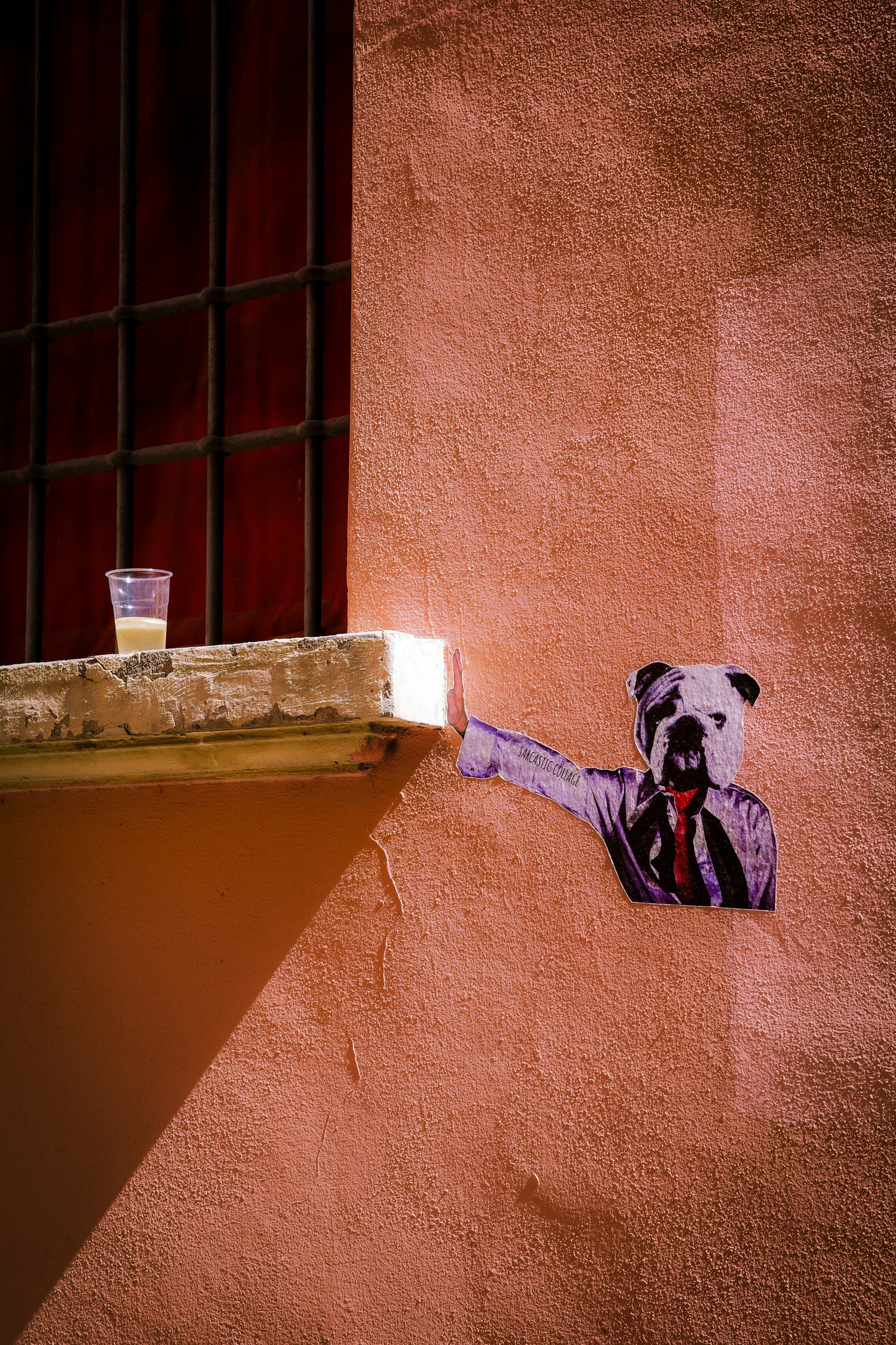 A dog beside a pint in a neighbourhood setting